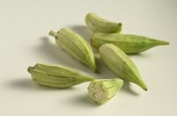 Okra is added to soups and stews, used for canning or eaten as a boiled or fried vegetable.