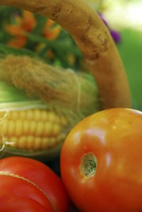 Fall vegetable gardens need many of the same considerations as summer gardens.
