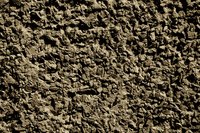 Paint exposed aggregate concrete to update the color.