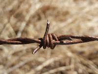Barbed wire is sharp, so be careful when making art with it.