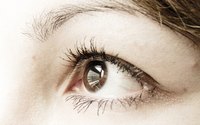Eyelashes protect the eye from debris.