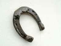 Horseshoes are essential for active winter riding.