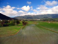 Farmers and home gardeners rely on commercial fertilizers.