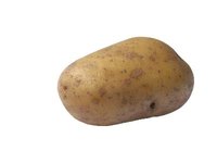 Yukon Gold potatoes are smooth, oval potatoes with pale yellow flesh.