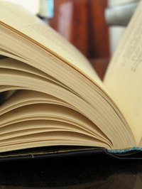 If you've got a book on bug bites, use that to help diagnose; otherwise you can try online.