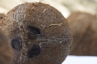 You can extract coconut juice through a coconut's natural dents.