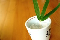 Bamboo fabric patents were created in the 1800s.
