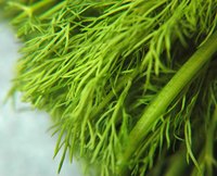 Dill weed is one of several classic Russian spices.