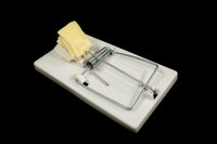 Mousetraps can be used to catch shrews.