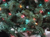 Getting Christmas tree lights to blink requires the right kind of bulb.