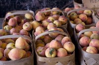 Georgia's peach season runs from mid-May to mid-August.