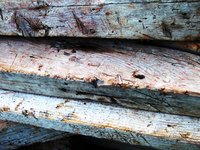 Old wood beams in need of a structural makeover.