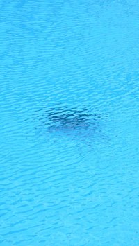 Chlorine levels must be checked regularly.