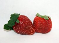 Strawberries have been beloved by cooks for centuries.