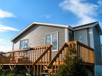 Sap can ruin a beautiful deck.