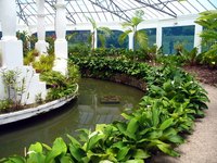 A dramatically-designed greenhouse.