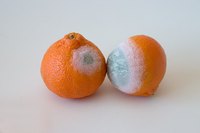 Fruits and vegetables are perishable and have a limited shelf life.