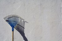Outreach projects can include neighborhood cleanup.