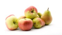 Apples and pears trees have many similarities but also a few key differences.