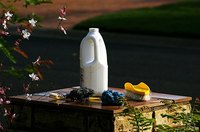 Bleach is harmful to beneficial microorganisms in soil.