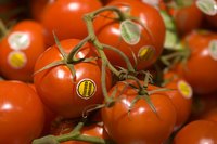 A business budget gives a farmer an idea of anticipated profits.