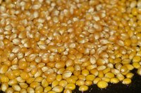Place popcorn kernels and oil in the kettle to create popcorn.