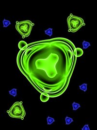 Without bacteria, our world would cease to function as it does today.