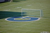 Astroturf is a popular alternative to real grass at football stadiums.