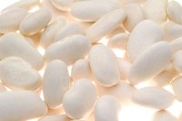 Quick-soaking navy beans helps make them more digestible.