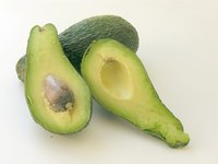 Many varieties of avocado thrive in Florida.
