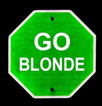 Achieving the correct hair color is easier with professional dyes.
