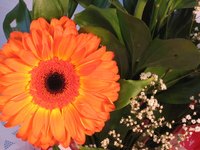 Florists use several methods to keep flowers fresh.