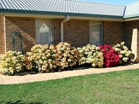 Maintaining the sharpness of electric timmers can made landscape trimming easier with beautiful results.