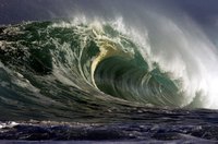 Waves are defined by their unique shape.