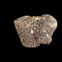 Truffle oil is infused with the potent flavor of truffles.