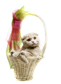 A gift basket can have anything you want in it.