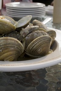 Clam chowder is a hearty soup.