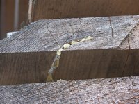 Sap on boards can be a problem.