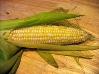 Ethanol fuel is considered renewable energy.