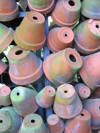 Aged terra-cotta pots add interest to a garden.
