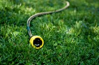 Watering hydroseeding