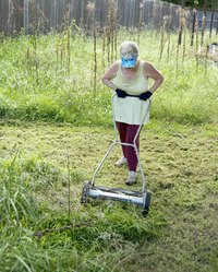 Mowing may help to control Russian olive tree populations.