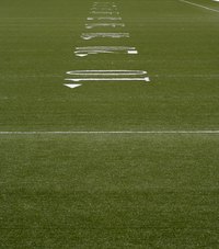 Bermudagrass is used as turf for most sports fields.