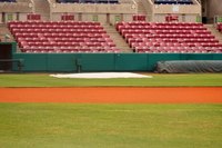 Many people want to be pro baseball coaches, but only few actually earn the available positions.