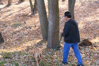 Take note of your dog's bowel movements.