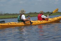 Ecotourism should promote conservation and benefit local communities.
