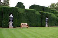 Choose varieties of shrubs for the type of hedge you envision.