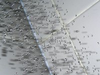 When installing trim around a shower window use PVC trim.