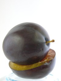 The color plum come from the color of the plum fruit.