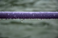Houston gets a lot of rain compared to other Texas cities.